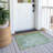 Machine Washable Indoor/Outdoor Kaczor ACN2224 Floral Rug-852581186