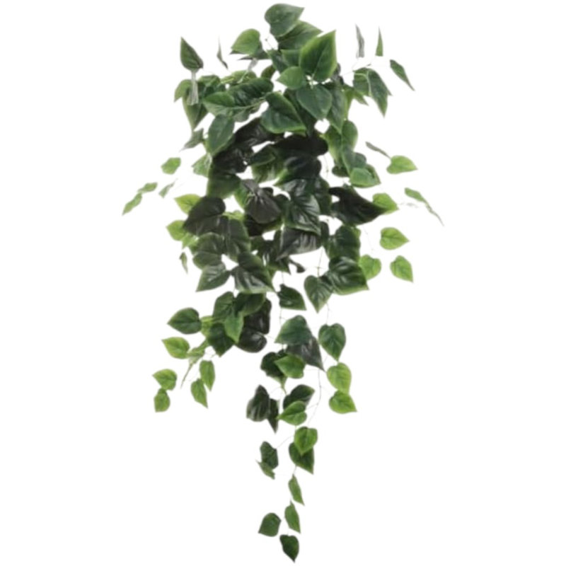36" Hanging Philodendron Bush - 2025 Spring Collection