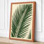 Single Palm Frond Botanical - Wrapped Canvas-231234090-231234091