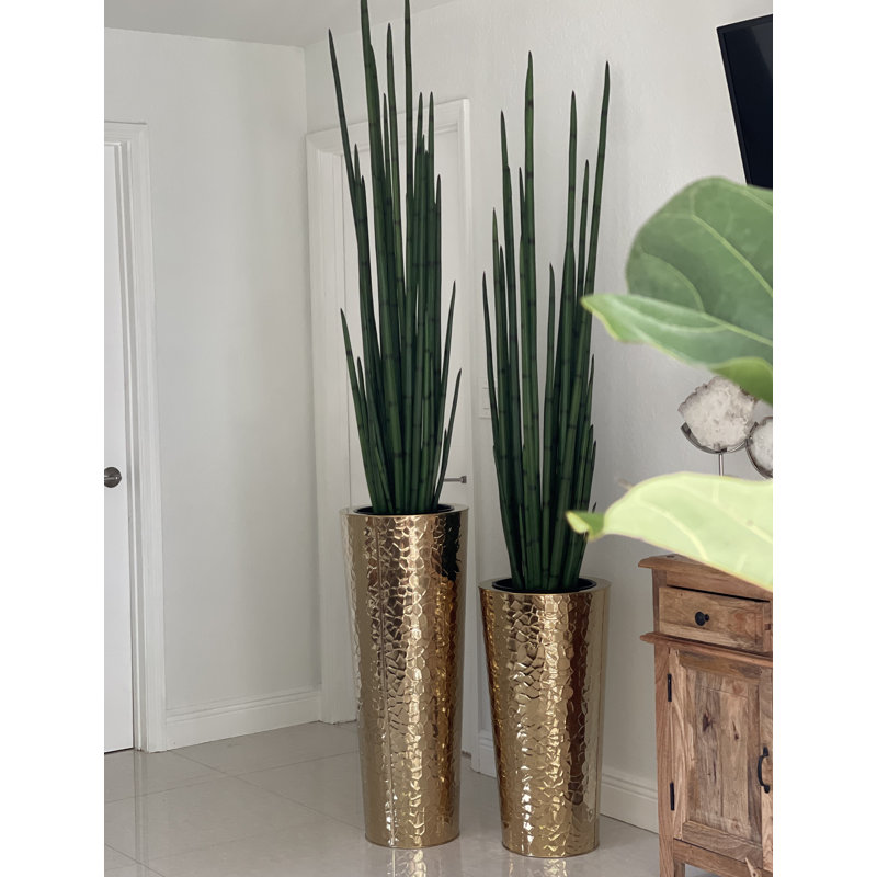 88 po Faux Snake Plant, Marteau doré