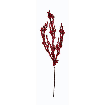 Berry Spray