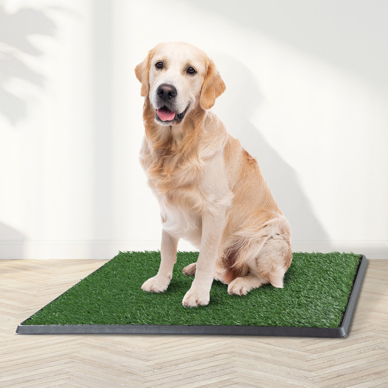 Set of 3 Green Artificial Turf Grass Pee Pads