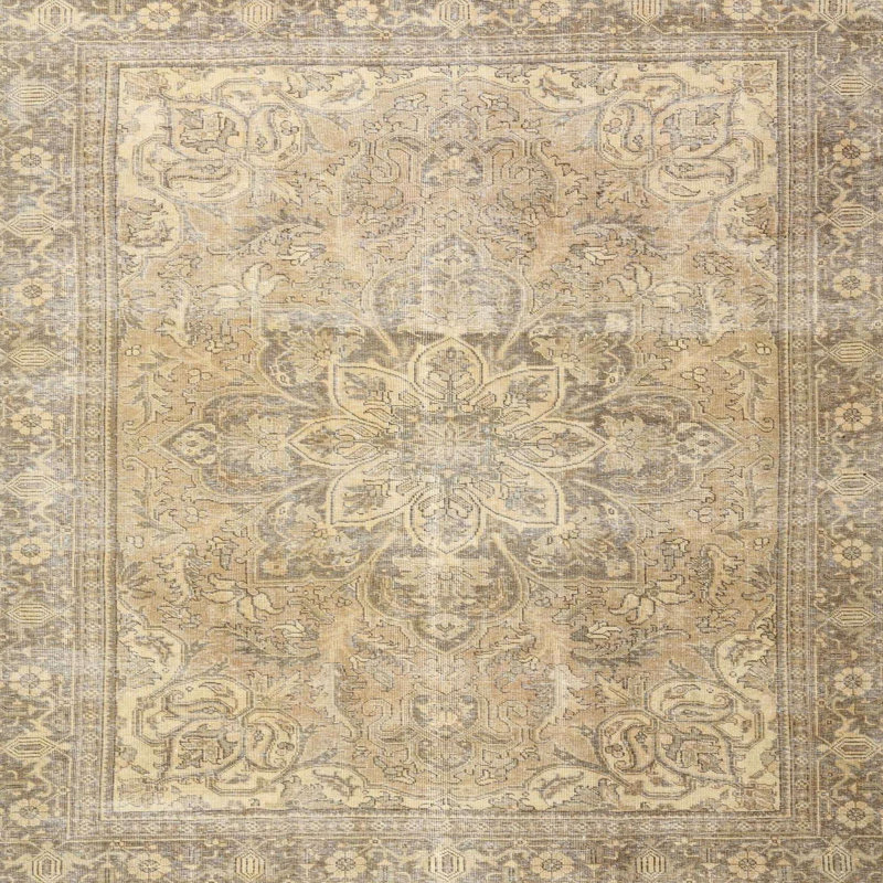Ansley Oriental Indoor Rug, Square 6'