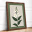 Study Botanical - Framed Print-98850240-98850243