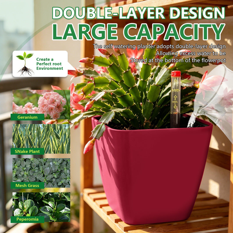 Ensemble de 3 pots à plantes auto-arrosants - Carré 5,2 po avec indicateur pour plantes d'intérieur, rouge