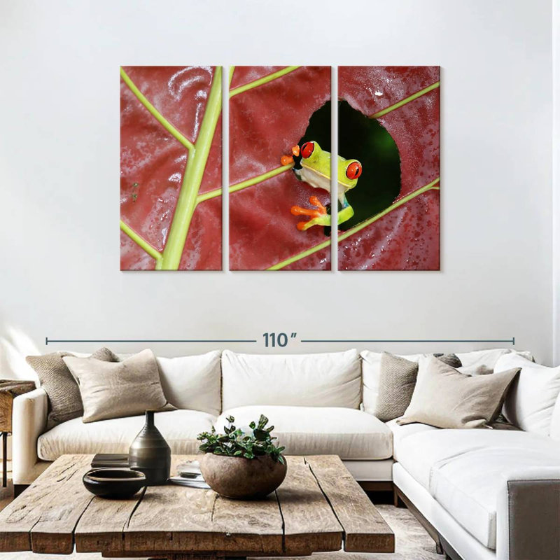 Brampt Wild Red Eyed Tree Frog, 48" H x 74" W