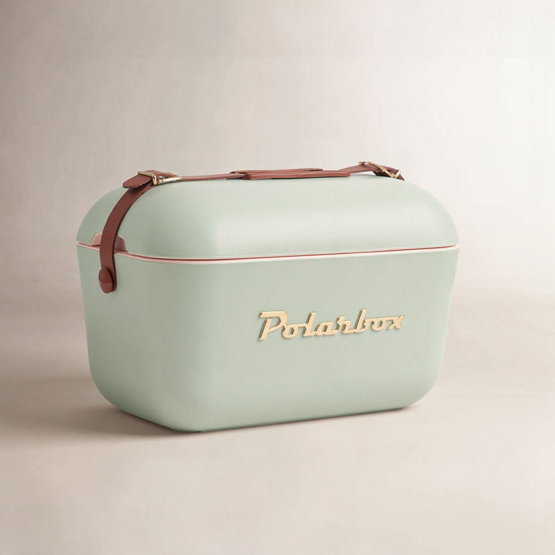 Birch Lane™ 21 Quarts Ice Chest, Green