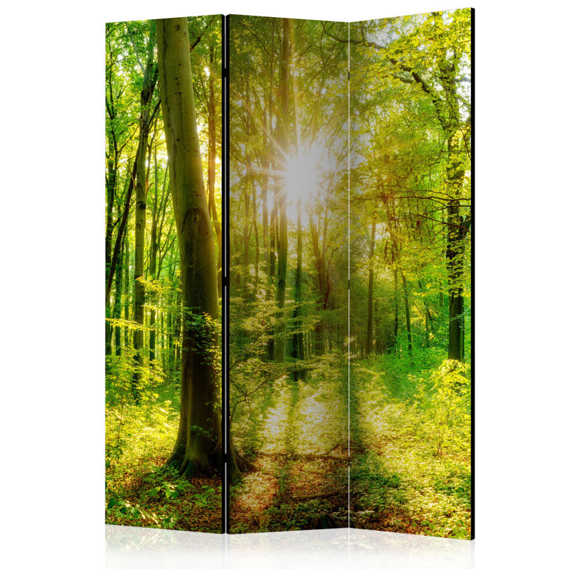 135cm W x 172cm H 3 - Panel Solid Wood Folding Room Divider