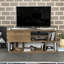 Goscho TV Stand for TVs up to 55"-1619297610