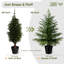 Arbre de Noël artificiel Norfolk-1793268315