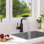 Belfry Kitchen Pull Out Kitchen Faucet