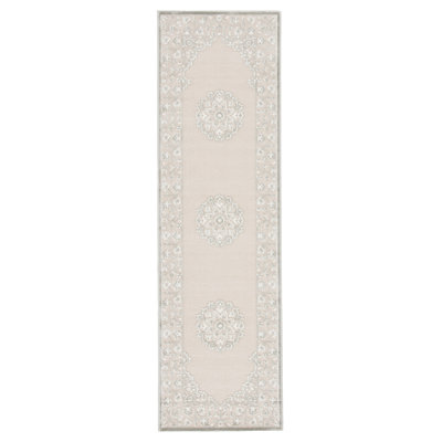 Amiyrah Oriental Indoor Rug