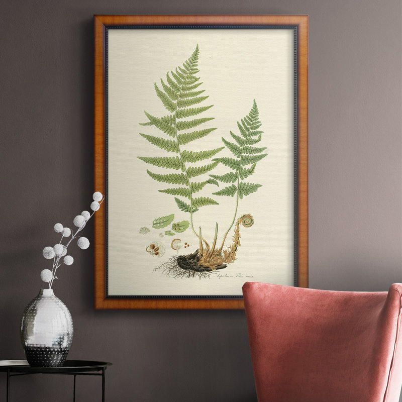 Toile encadrée de qualité supérieure Curtis Ferns II - prête à être accrochée, H 20 po x l 16 po x P 2,5 po