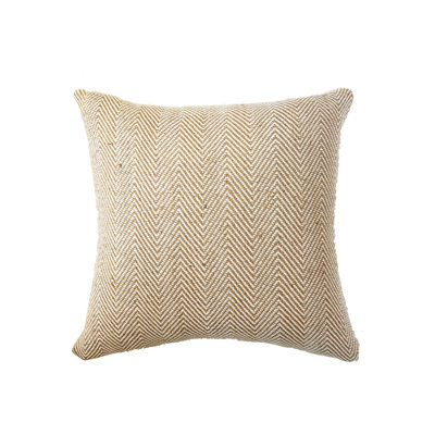 Andes Cotton Chevron Square Throw Pillow
