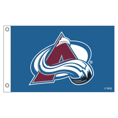 Double Sided 36'' H x 60'' W Polyester House Flag