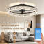 Ceiling Fan-384102274