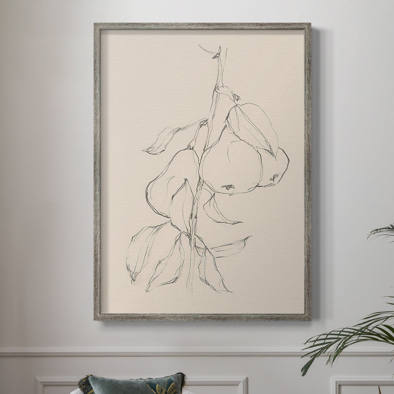 Fruit Contour Study II Framed Print - Solid Wood, 11" H x 9" W