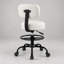 Chaise de dessin ergonomique avec dossier, tabouret de bureau pivotant à roulettes avec repose-pieds réglable - Blanc/2 pièces-273369680-274005016