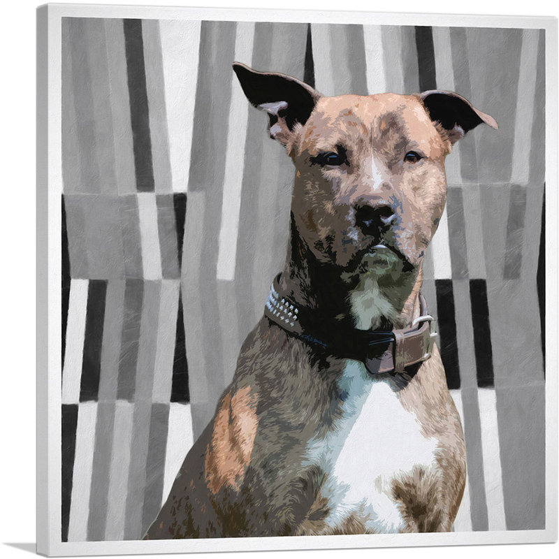 PitBull Terrier Dog Breed - impression sur toile tendue, H 36 po x l 36 po x P 0,75 po