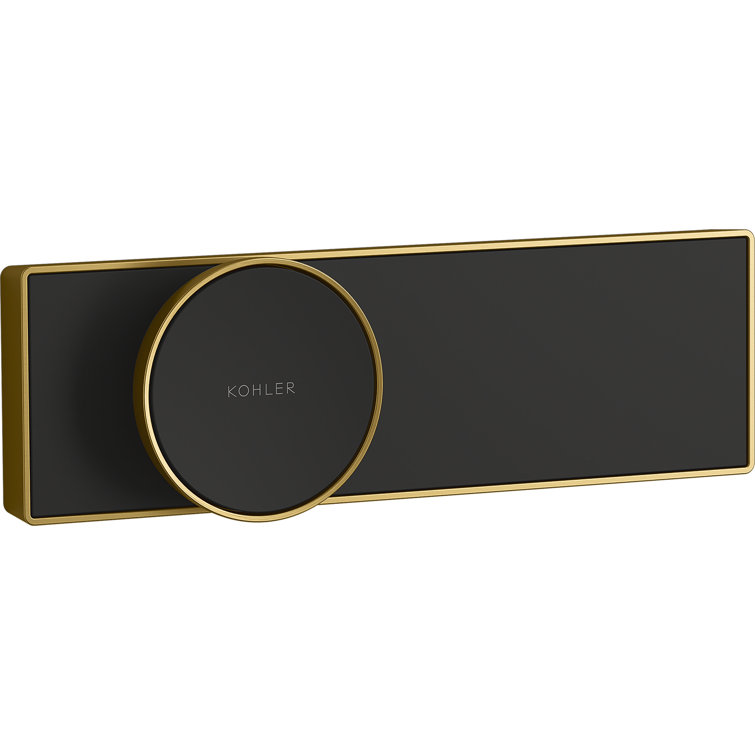 Anthem Digital Shower Control
