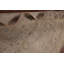 Distressed Wool Traditional Area Rug 6x10