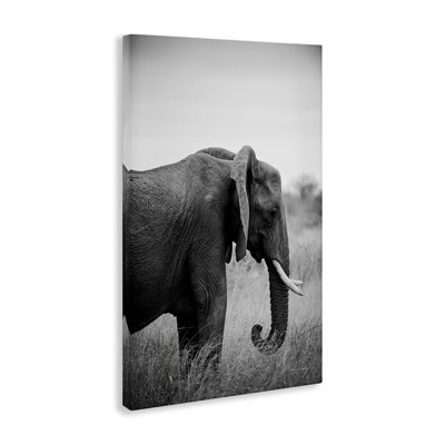  «Side Profile Elephant Canvas» par Sharon Vardy
