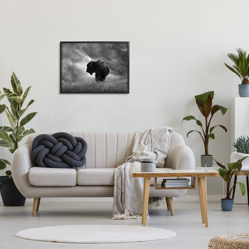 «Ox in Cloudy Landscape» encadré sur bois par Steve Toole, H 24 po x l 30 po x P 1,5 po, Giclée encadrée noir minuit