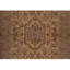 Wool Oriental Area Rug