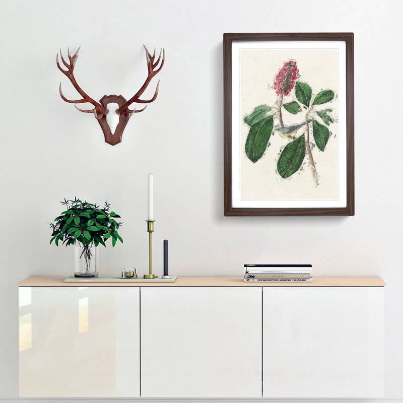 Bonaparte's Flycatcher Bird by John Audubon - Picture Frame Painting Print, 65cm H x 48cm W x 2cm D, Walnut Framed