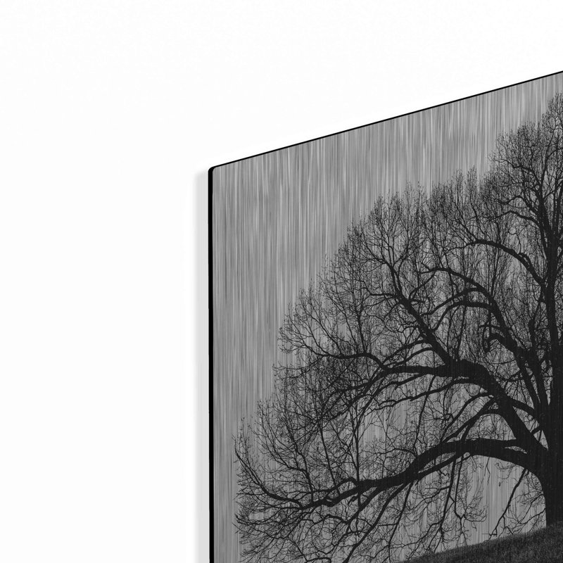 «The Tree» par John Jones, H 12 po x l 16 po