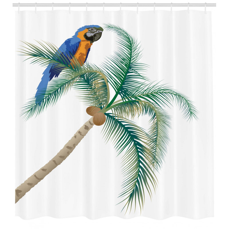 Ensemble de rideau de douche et crochets Parrot, H 70 po x l 69 po