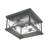 Cissna 10'' W Outdoor Flush Mount-22741886