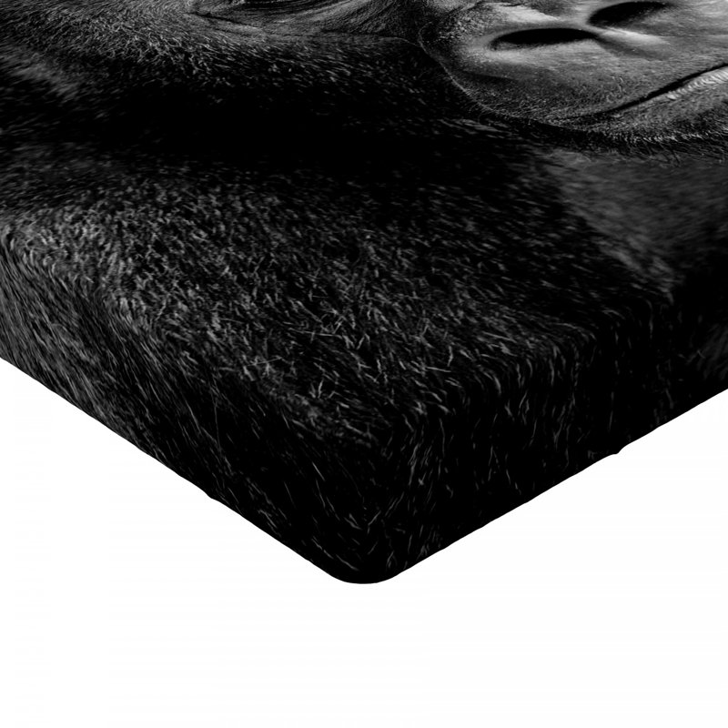 Microfiber Fitted Sheet, Queen Fitted Sheet