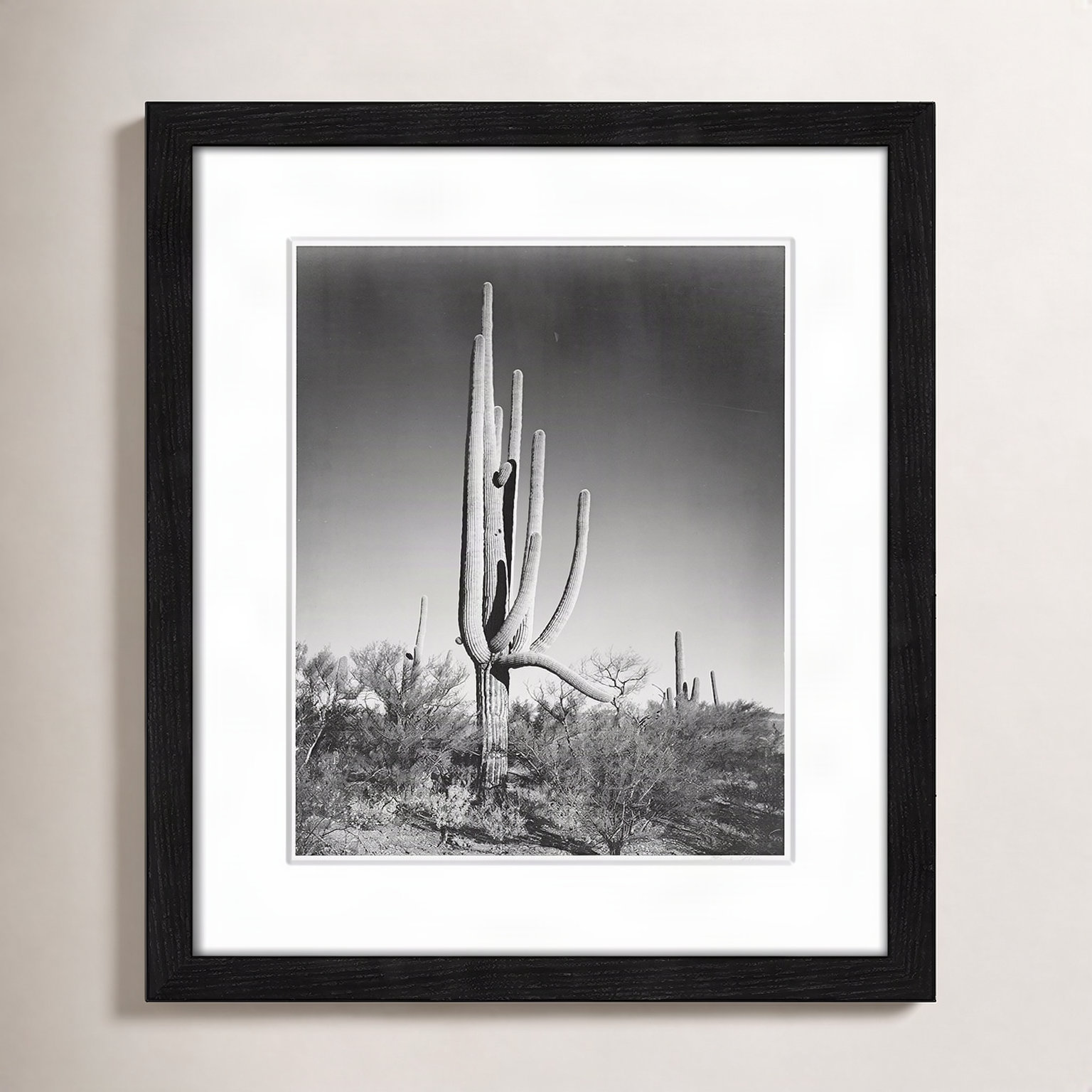 Saguaro National Monument Print by Ansel Adams, Black, 15" H x 13" W x 0.75" D