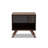 Caden 18.9'' W Nightstand