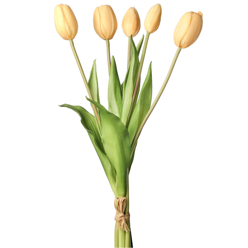 Tige de tulipe douce au toucher, Blanc jaune