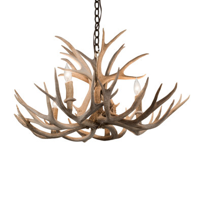 Lustre fantaisie 4 lumières panache mule Deer