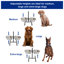 Diner pour animaux Dinahlee-13945743