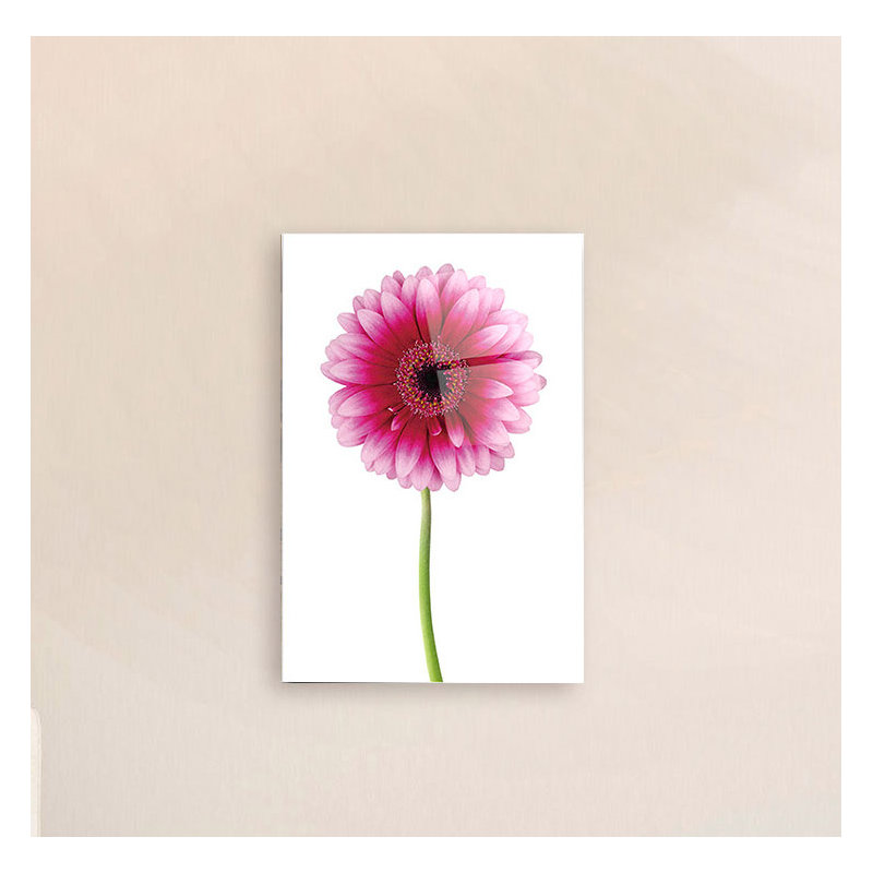 Art mural en acrylique rose marguerite, 20 po x 14 po