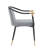 Jaquayla Gold-Tipped Modern Dining Chairs-1796146593