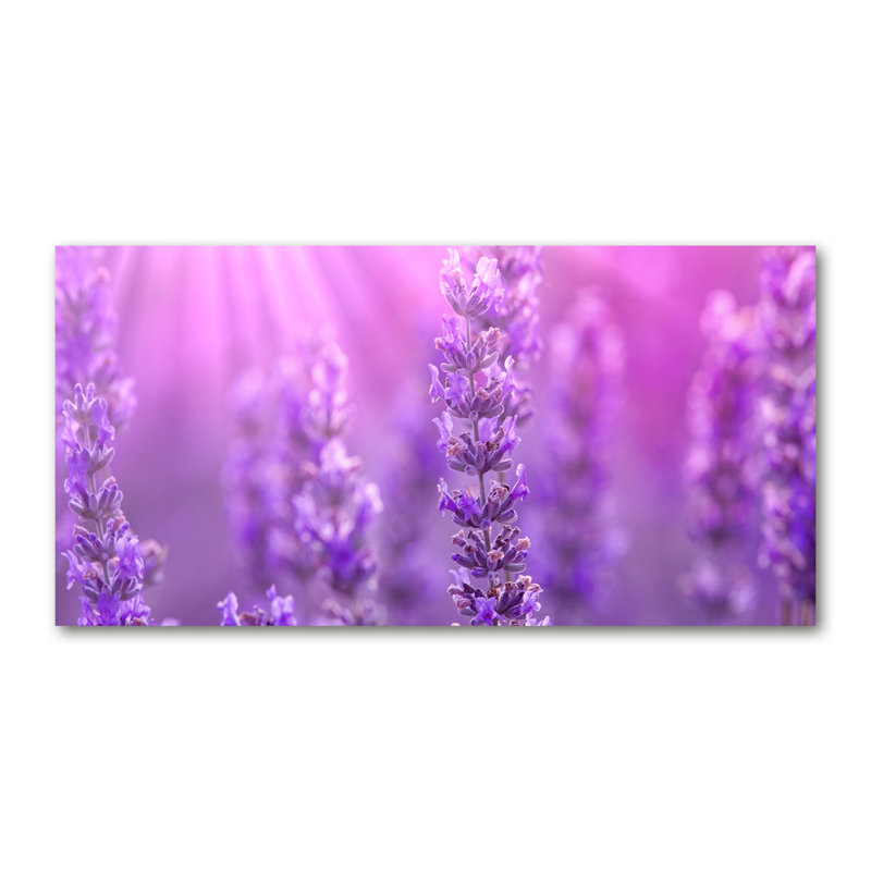 Lavender - No Frame Print on Canvas
