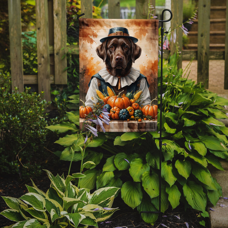 Drapeau du jardin de l'Action de grâce, Labrador Retriever chocolat