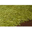 Tapis vert area Baptista-24387849