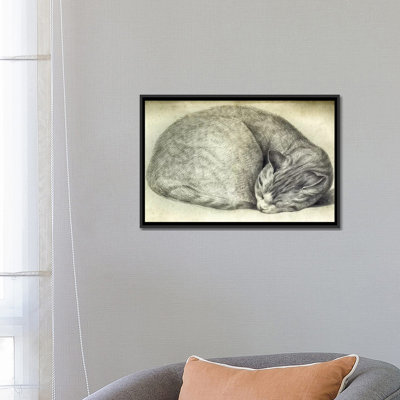 " Sleeping Cat " by Vintage Apple Collection