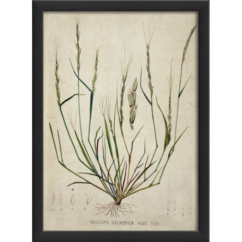 «Botanical», impression encadrée, Noir