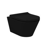 Charm 1.28 GPF High Efficiency Dual Flush Wall Mounted Toilet