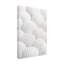 Coquillages 3 sur toile-1795432558