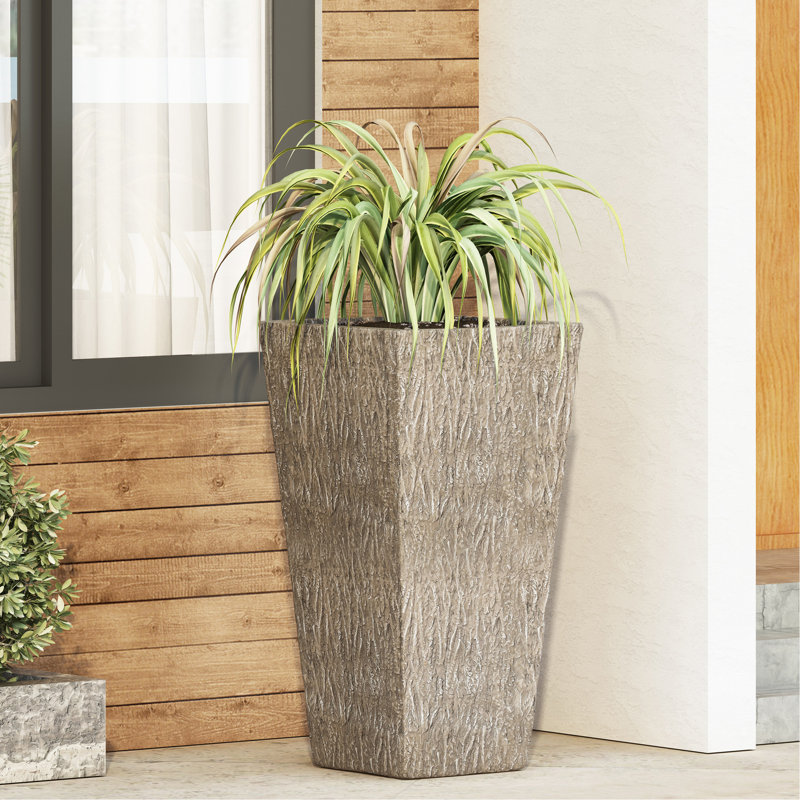 MGO PLANT