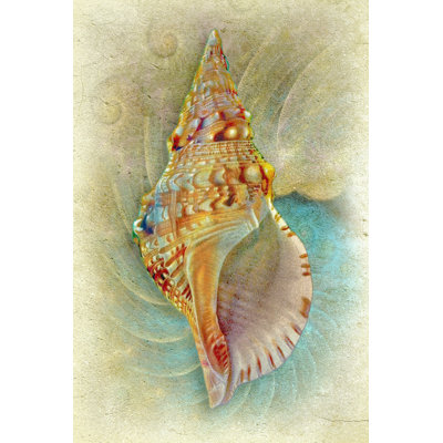 Aquatica I by Steve Hunziker - Wrapped Canvas Painting