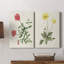 Fleurs des saisons - Toile tendue avec châssis de qualité supérieure - prête à être accrochée-108966275